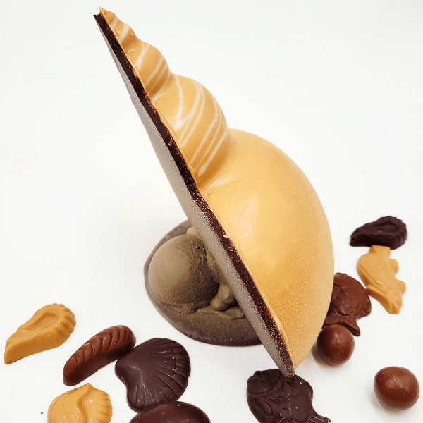 Le Coquillage – Image 3