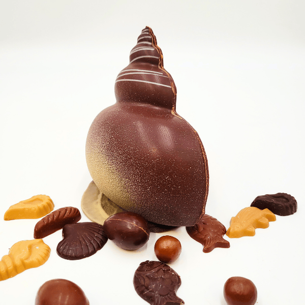 Le Coquillage – Image 4