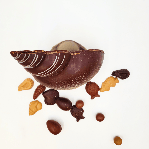 Le Coquillage – Image 5