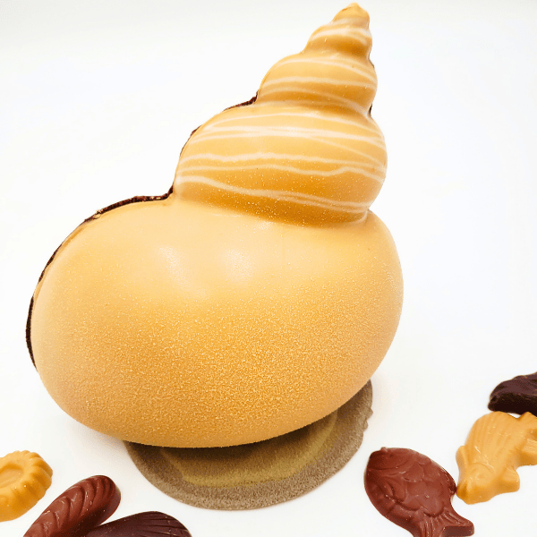 Le Coquillage – Image 2