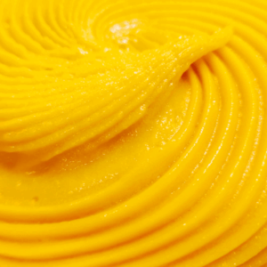 Sorbet aux Fruits Exotiques
